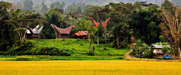Sulawesi-Tanah-Toraja